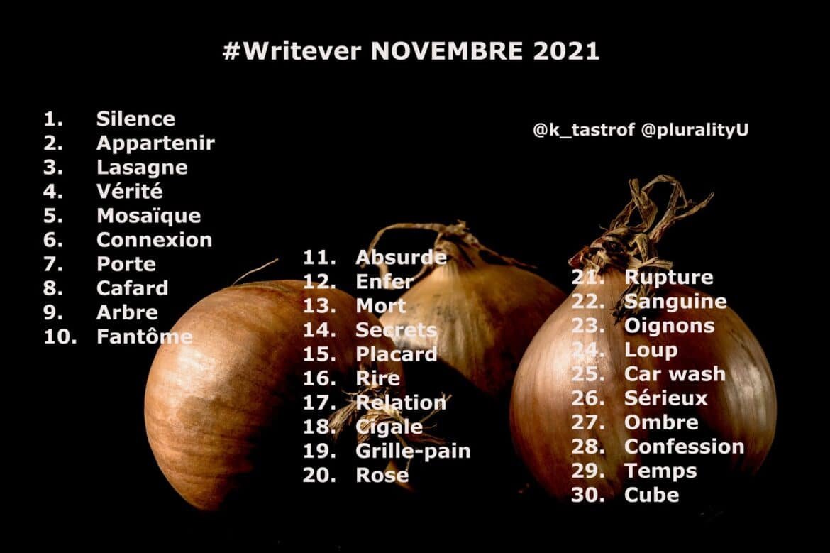 Défi d’écriture Writever de novembre 2021 : les consignes