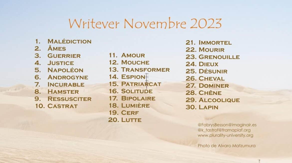 Défi d’écriture Writever de novembre 2023 : les consignes