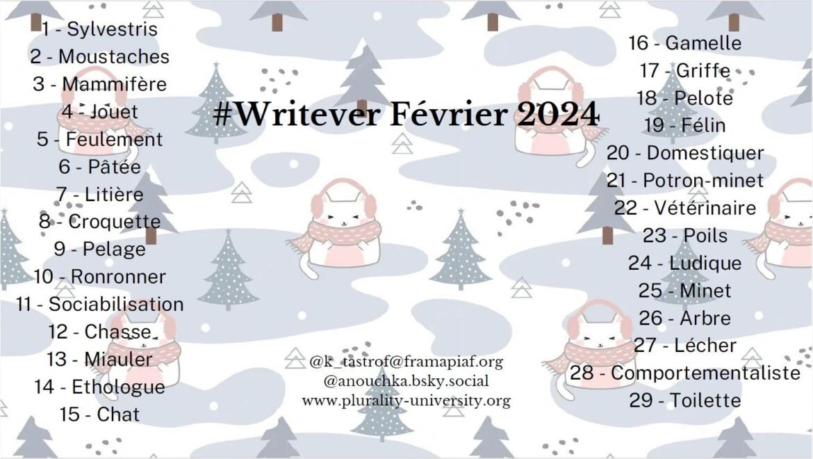 Défi d’écriture Writever de février 2024 : les consignes